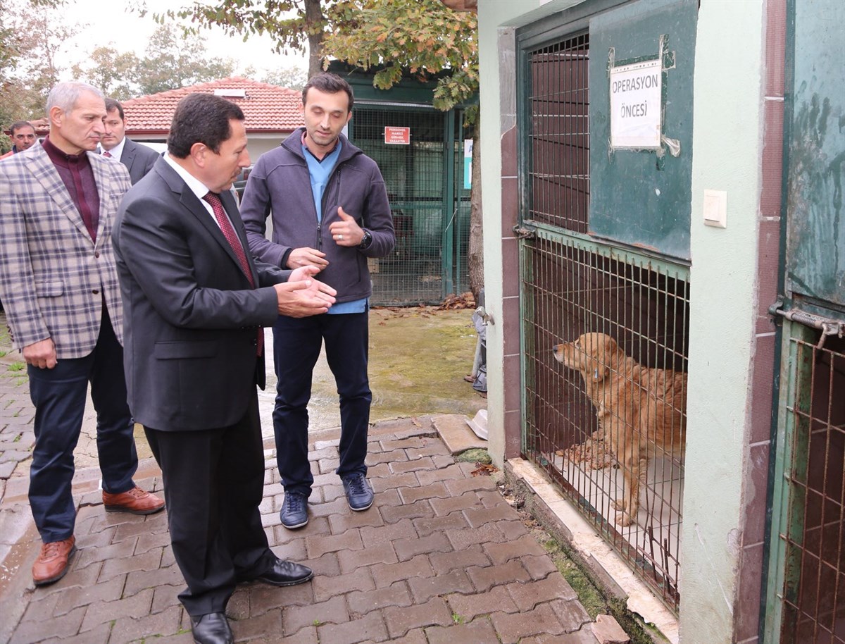 Vali Balkanlıoğlu Geçici Hayvan Barınağında İncelemelerde Bulundu