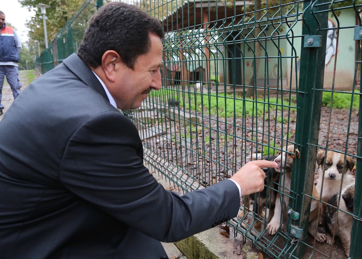 Vali Balkanlıoğlu Geçici Hayvan Barınağında İncelemelerde Bulundu